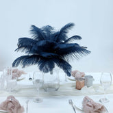 12 Pack 13"-15" Navy Blue Natural Plume Real Ostrich Feathers, DIY Centerpiece Fillers