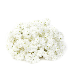 20" Pre-Arranged Artificial Cherry Blossom Centerpiece, White Silk Flower Ball Arrangement for Wedding & Event Tables