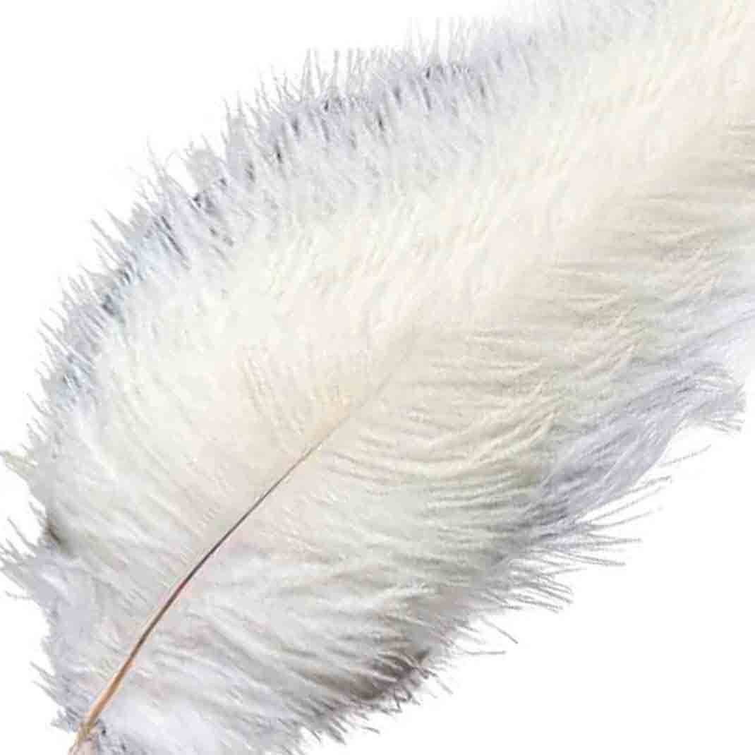 12 Pack 13"-15" White Natural Plume Real Ostrich Feathers, DIY Centerpiece Fillers