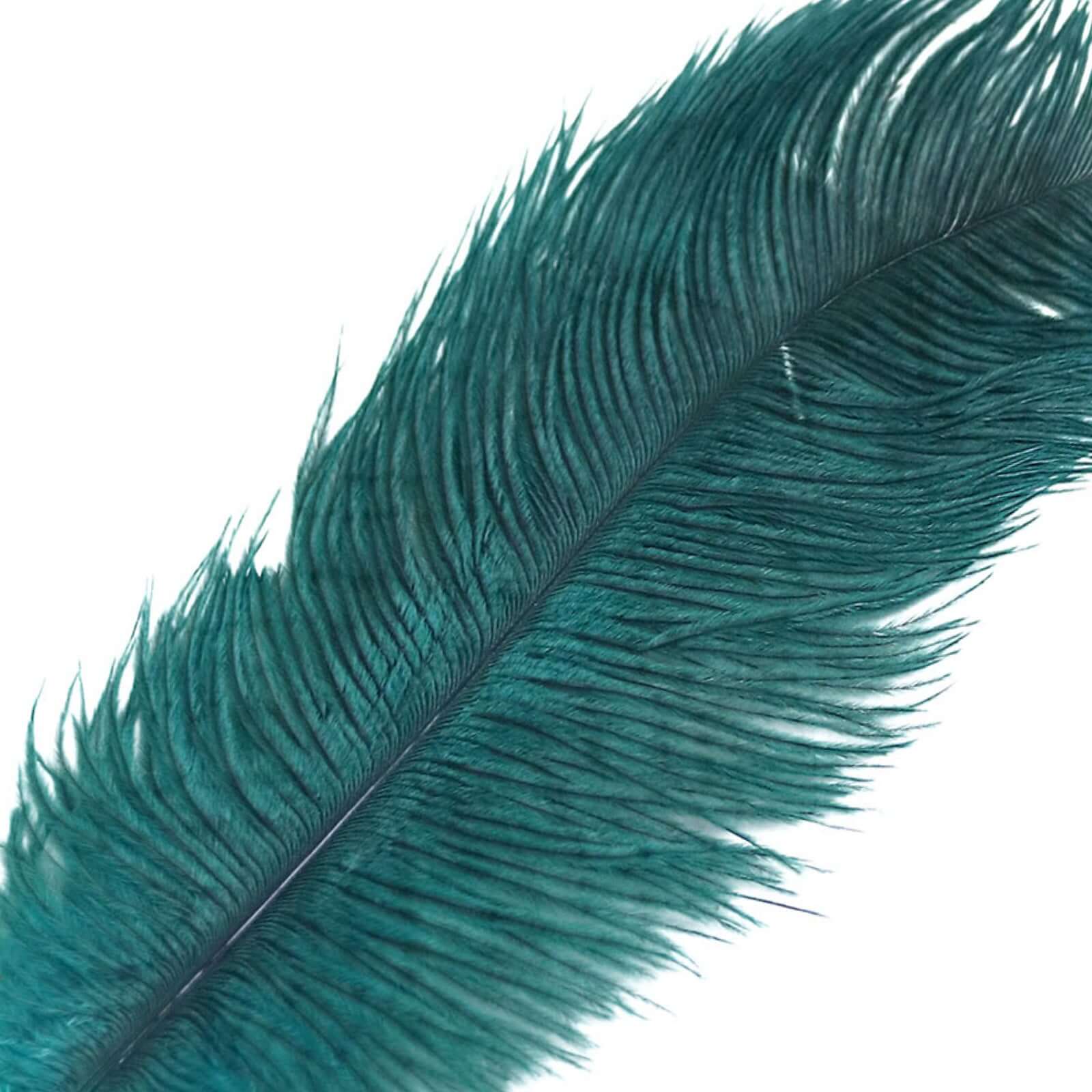12 Pack 13"-15" Peacock Teal Natural Plume Real Ostrich Feathers, DIY Centerpiece Fillers