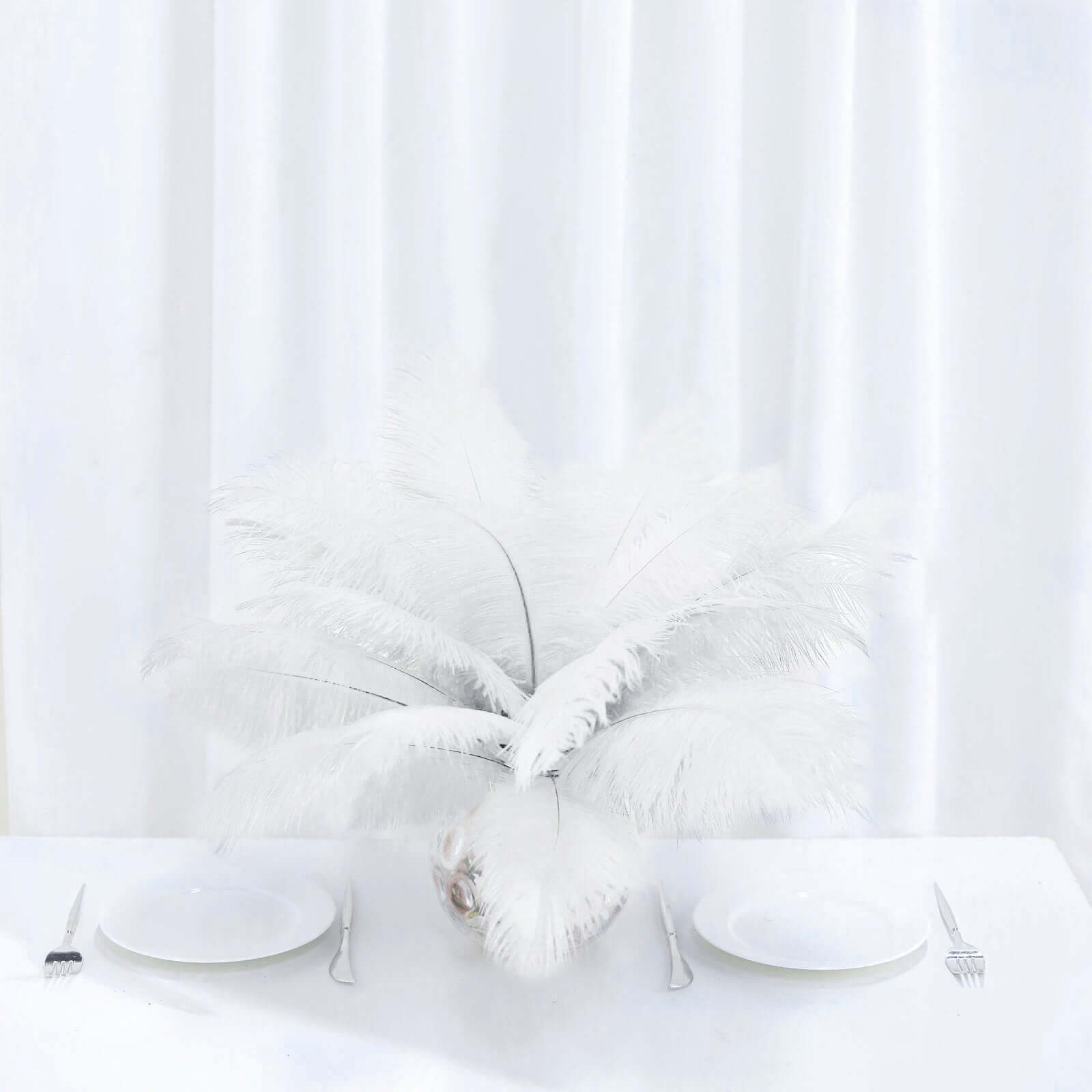 12 Pack 13"-15" White Natural Plume Real Ostrich Feathers, DIY Centerpiece Fillers