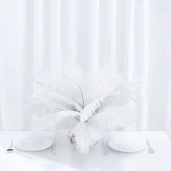 12 Pack 13"-15" White Natural Plume Real Ostrich Feathers, DIY Centerpiece Fillers