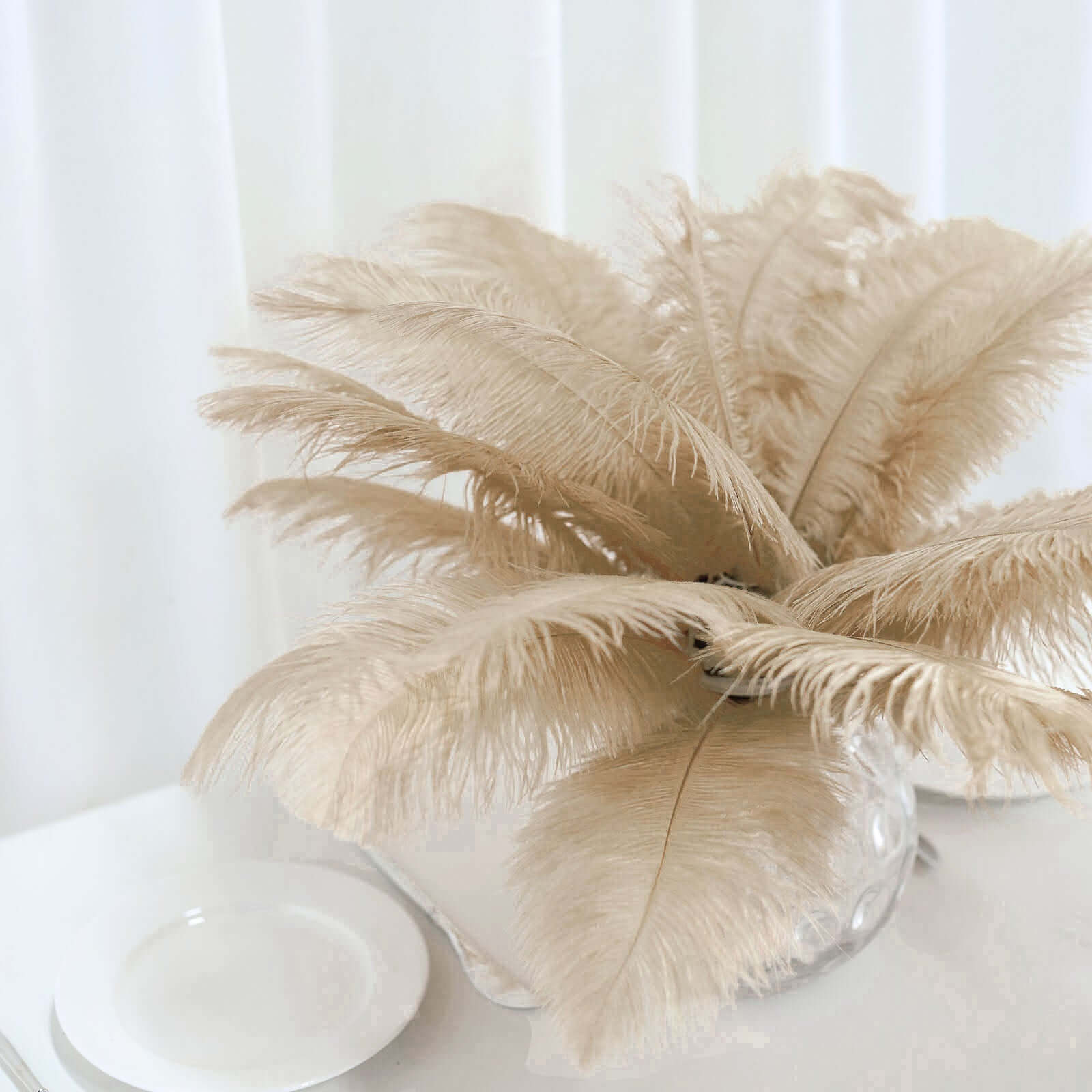 12 Pack 13"-15" Beige Natural Plume Real Ostrich Feathers, DIY Centerpiece Fillers