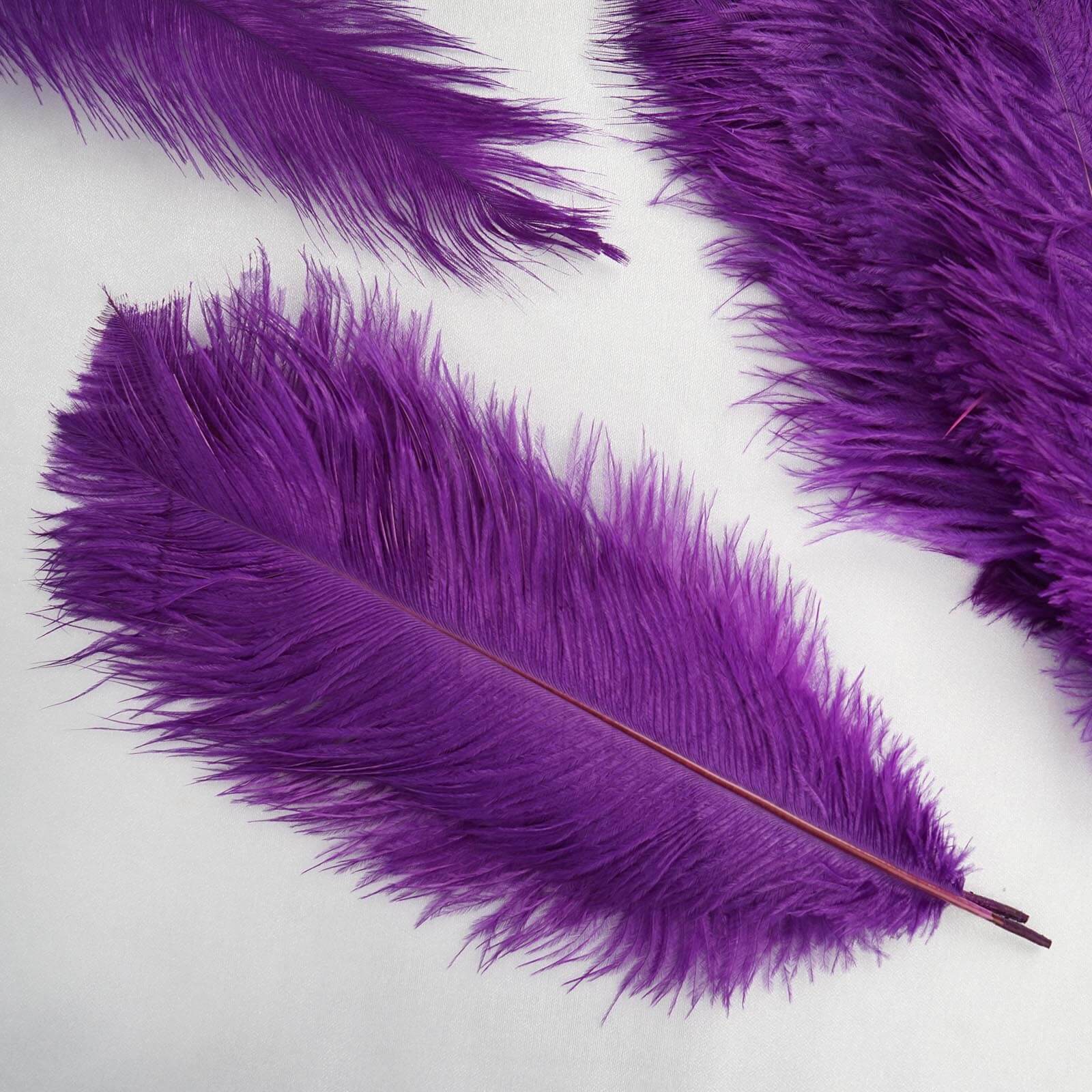 12 Pack 13"-15" Purple Natural Plume Real Ostrich Feathers, DIY Centerpiece Fillers