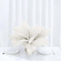 12 Pack 13"-15" Ivory Natural Plume Real Ostrich Feathers, DIY Centerpiece Fillers