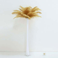 12 Pack 13"-15" Gold Natural Plume Real Ostrich Feathers, DIY Centerpiece Fillers